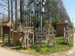 -上海长兴岛郊野公园