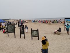 -日照海滨国家森林公园