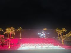 -三亚红色娘子军演艺公园景区