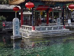 -趵突泉景区