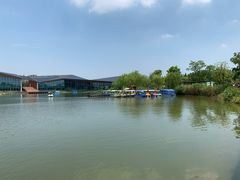 -上海长兴岛郊野公园