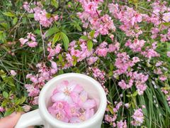 -上海长风大悦城