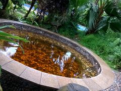 -德庆盘龙峡生态旅游区