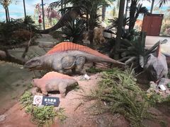 -湖南省地质博物馆