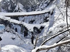 -峡谷浮石林景区