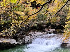 -光雾山旅游景区