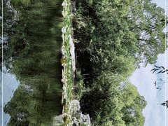 -上海吴淞炮台湾国家湿地公园