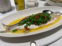 青花椒蒸白水鱼-荣兴酒家(徐家汇店)