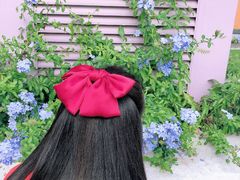 -汪说喵讲宠物乐园宠物酒店(红星美凯龙店)