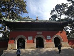 -普乐寺