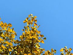 -敬亭山风景名胜区