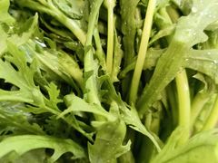 -草原传奇鲜羊火锅(桥北店)