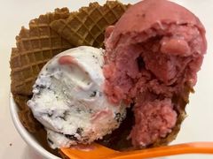 -iceason爱茜茜里·意大利健康冰淇淋(骑龙巷店)