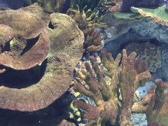 -福州罗源湾海洋世界旅游区