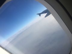 -八婆婆烧仙草(曾厝垵店)