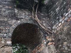 -小南山公园