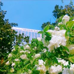 -中谷小南国花园酒店·宴会厅