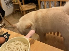 -柴の食堂·日式家庭料理·熊之肆(大学路店)