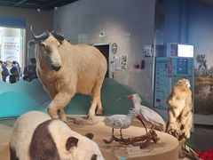 -陕西自然博物馆