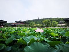 -三国水浒景区(无锡影视基地)