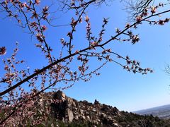 -北京凤凰岭