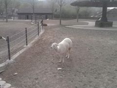 -石家庄市动物园