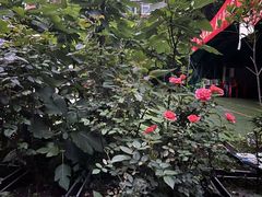 -金豆子幼稚园