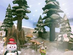 -哈尔滨热雪奇迹
