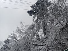 -峨眉山风景名胜区