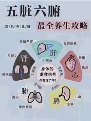 -香薇妮丝·定制减肥·身材管理