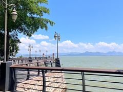 -深圳湾公园(南山区)