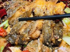 -老板恋上鱼(高新万达店)