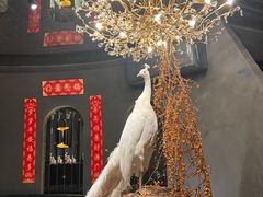 -滇野云南野生菌餐厅(陕西南路店)