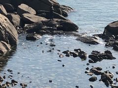 -青岛银沙滩温德姆至尊酒店