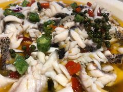 -三猫黑鱼花(南大店)