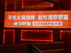 门面-南锣肥猫·麻辣烤鱼·16年现烤现卖(财富购物中心店)