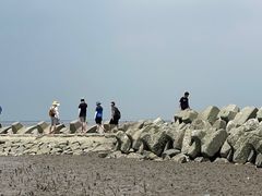 -南汇嘴观海公园