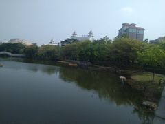 -映月湖公园
