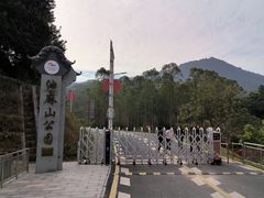 -黄埔油麻山森林公园