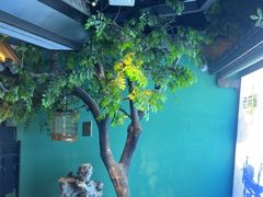 -佬麻雀·剁椒鱼头(京基KK One店)