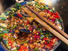 -镇江龙·火锅串串(武侯祠店)