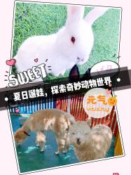 -萌宠亲子动物乐园(槐房万达店)