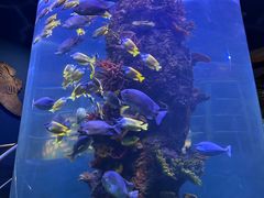 -西安曲江海洋极地公园