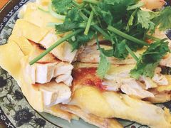 三黄鸡-九斤黄三黄鸡专卖店