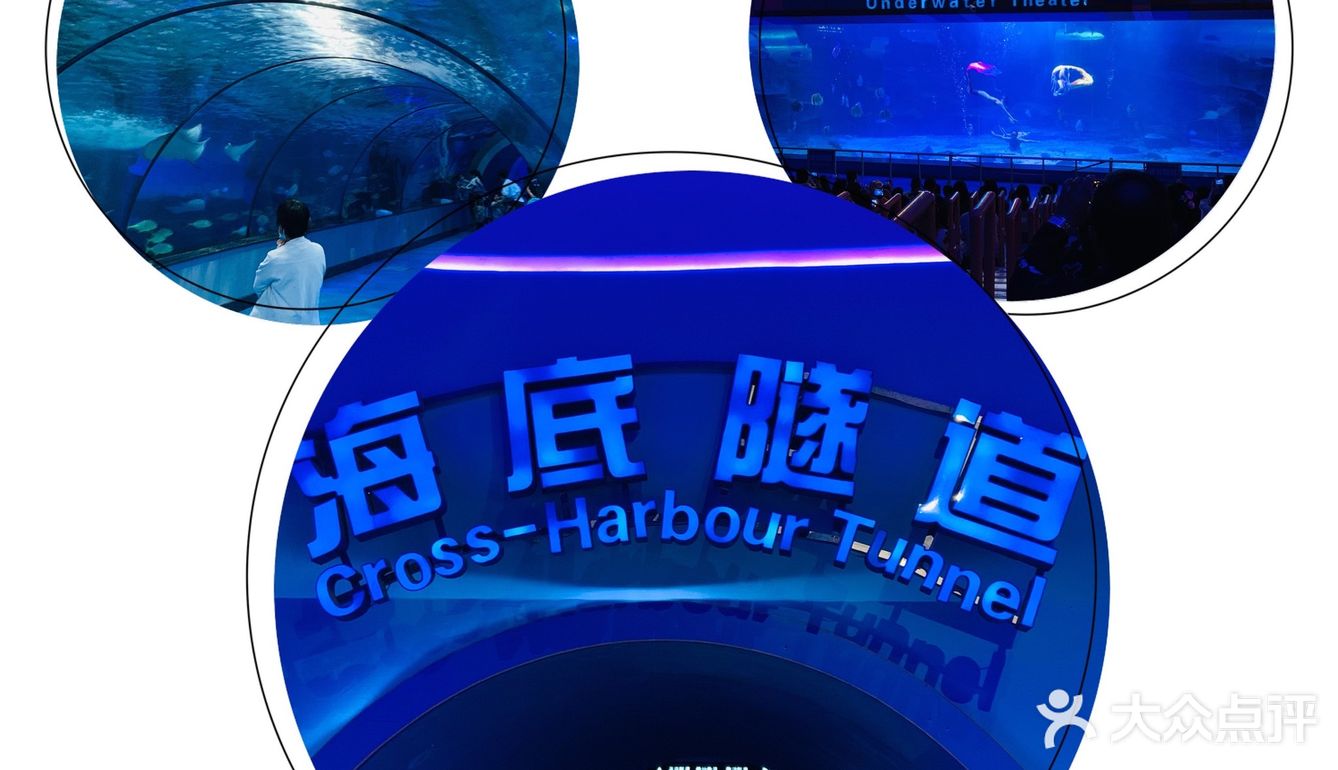 #济南周边游#在海边,是游而不是游泳