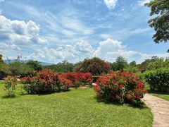 -中国科学院西双版纳热带植物园