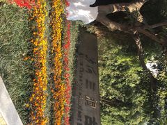 -沙河三洞古桥公园