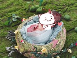 -DeerFriend童趣主题上门拍·到家·外拍摄影机构 (国贸店)