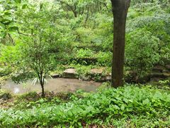 -句容茅山景区