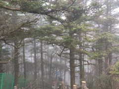 -峨眉山风景名胜区
